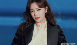 秦岚的电视剧,穿越时空的美丽传奇