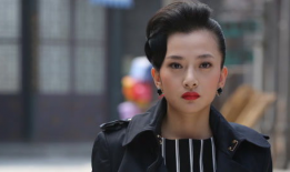 黑狐之风影电视剧,暗夜猎狐者的传奇征程