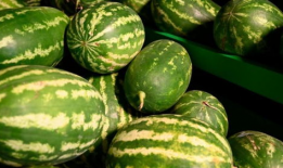 阳江吃瓜爆料事件视频,视频揭露惊人内幕