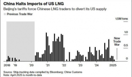 99精品国产再热,引领行业新潮流的绿色能源解决方案